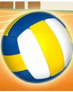 SpikeMaster VolleyBall