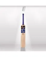 Versatile Play Bat