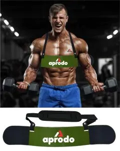 Arm Blaster for Bicep Training