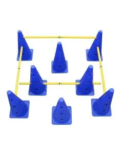 AgilityCones Training Set