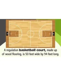Court Boundary Markers