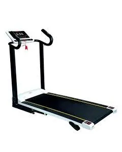 Versatile Exercise Treadmill